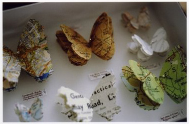 Papillons - Blog d‚ÄôEric Poindron - Cabinet de curiosités