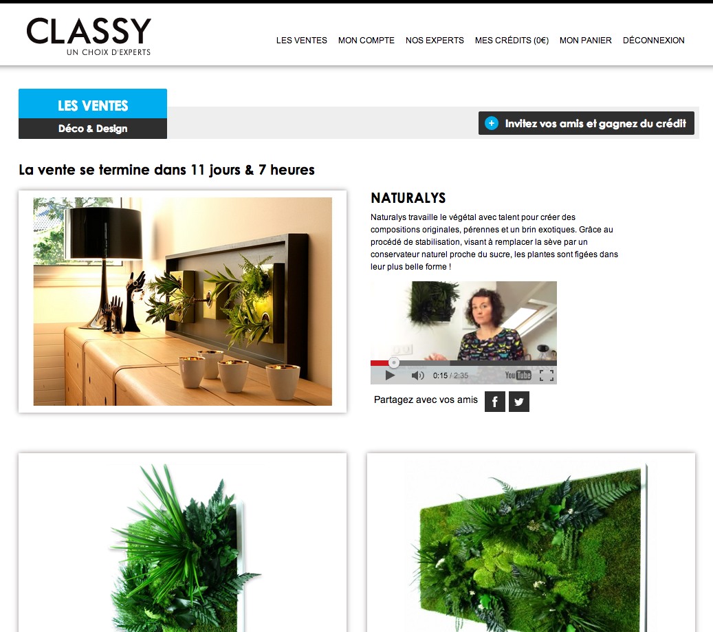 TheClassy - Vente déco Naturalys tableaux végétaux