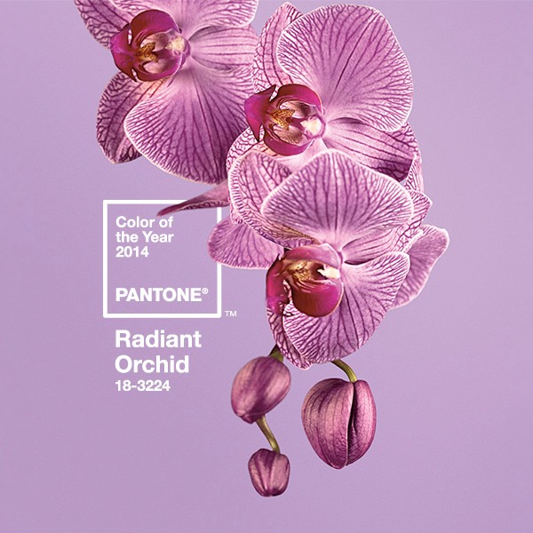 Couleur de l'année 2014 : Radiant Orchid