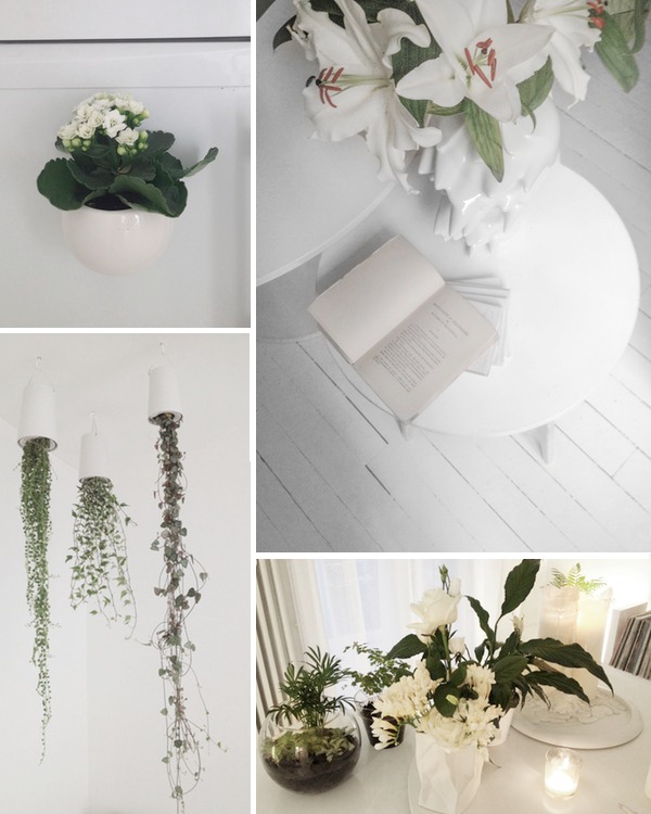 plantes décoration appartement blanc
