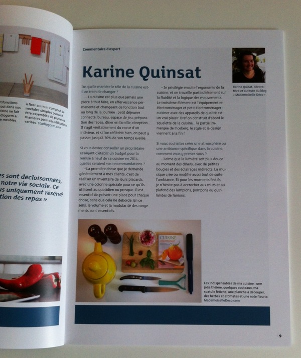 karine quinsat revue kitchen id hygena