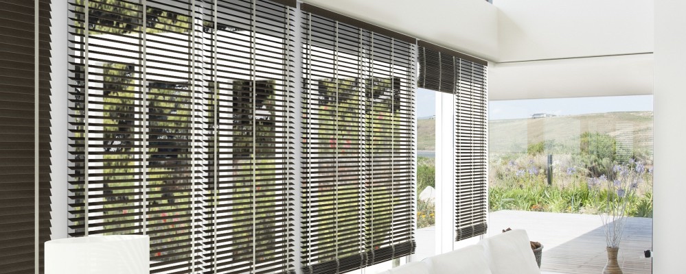 An open house on nature, with a nicely framed campaign and filtered through the blinds